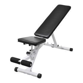 Fitness Workout Utility Bench